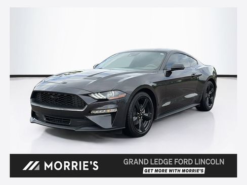 Used 2023 Ford Mustang Premium w/ Equipment Group 201A RWD image 1