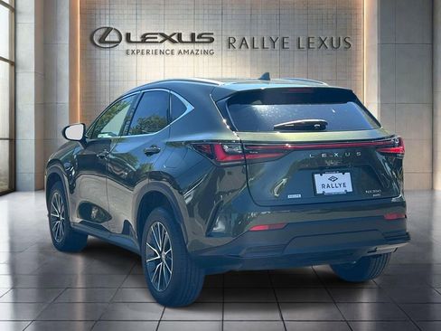 Used 2023 Lexus NX 350 AWD w/ Cold Area Package image 5