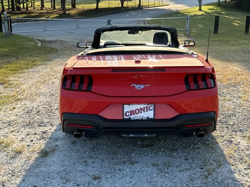 Used 2025 Ford Mustang Premium RWD image 6