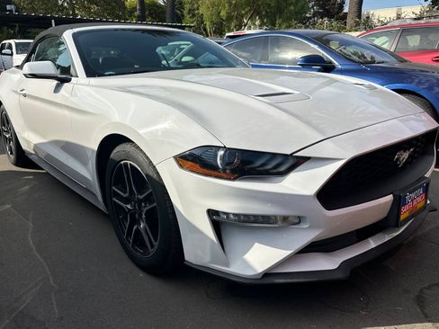 Used 2019 Ford Mustang Premium RWD image 2