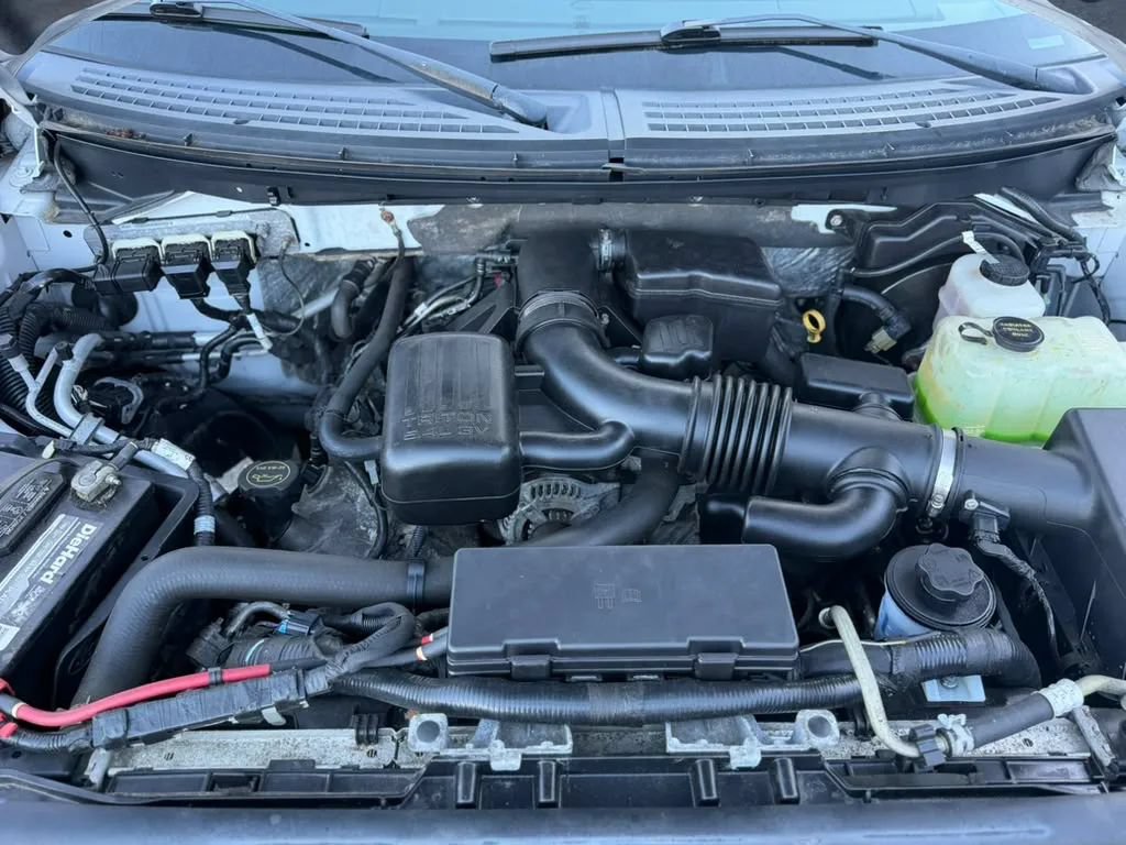 Used 2010 Ford F150 FX4 AWD/4WD image 21