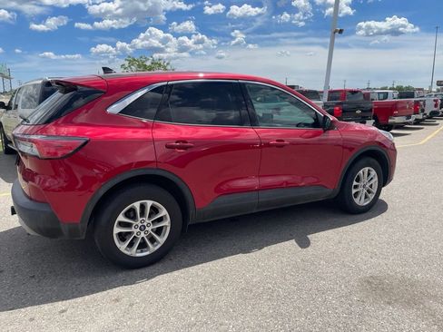 Used 2020 Ford Escape SE AWD/4WD image 14
