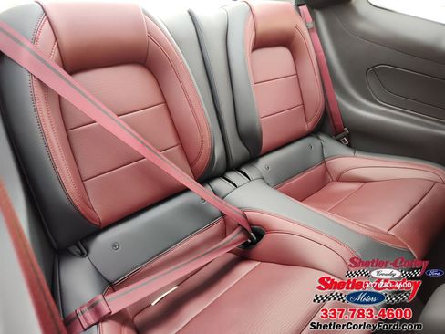 New 2025 Ford Mustang GT Premium image 15