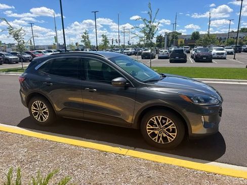 Used 2020 Ford Escape SEL AWD/4WD image 12