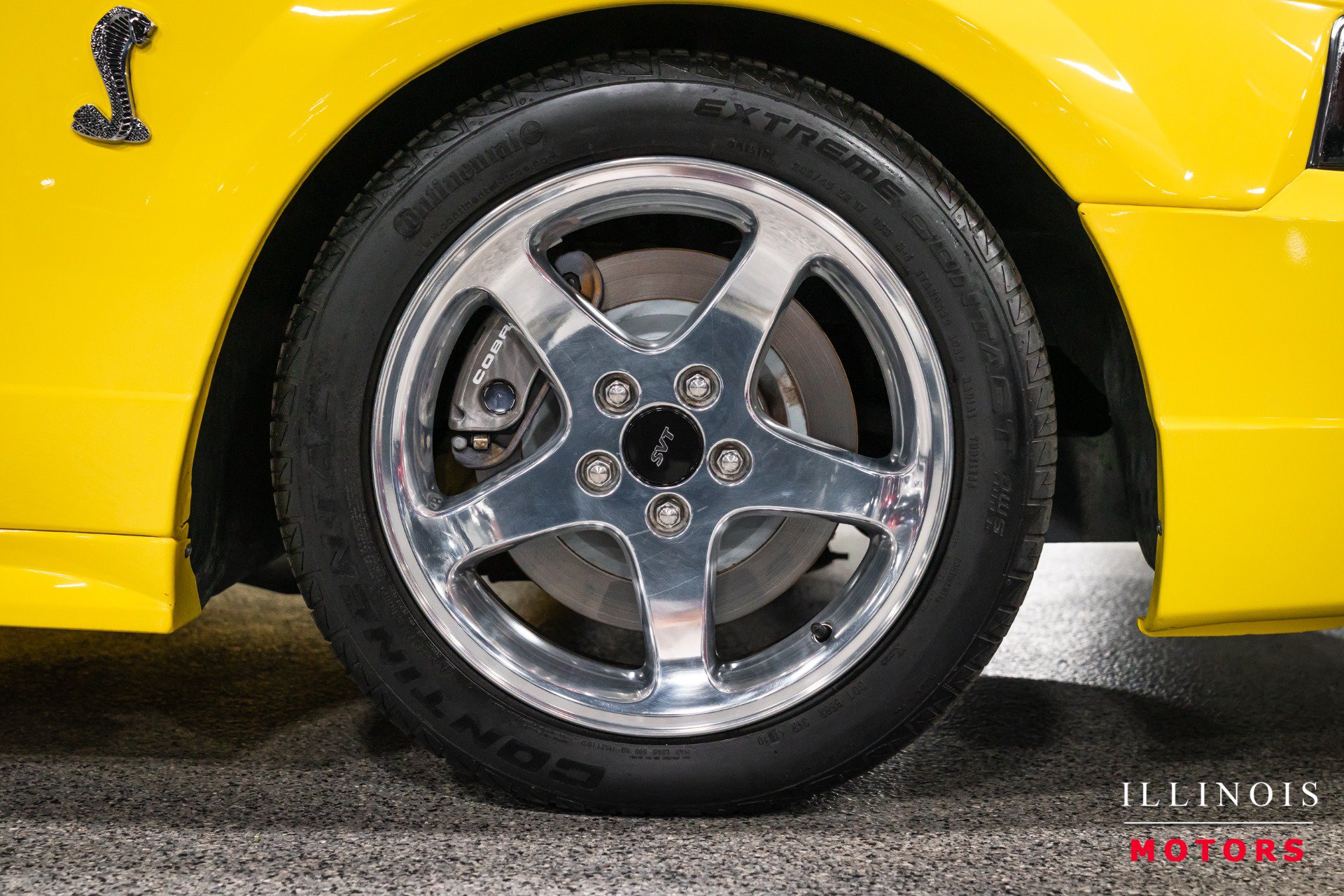 Used 2001 Ford Mustang Cobra RWD image 12