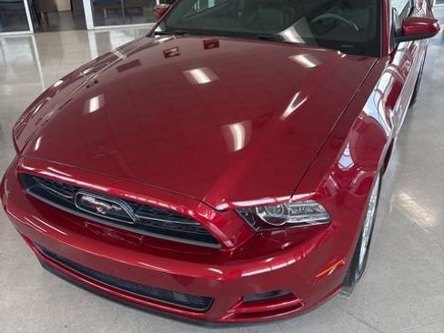Used 2014 Ford Mustang Premium w/ Equipment Group 202A RWD image 2