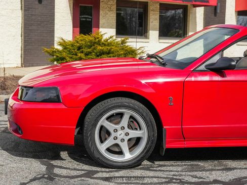 Used 1999 Ford Mustang Cobra RWD image 4