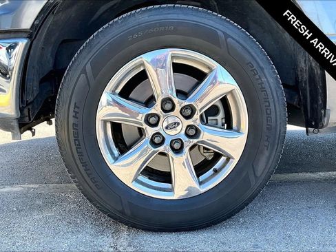 Used 2019 Ford F150 XLT w/ Equipment Group 302A Luxury RWD image 32