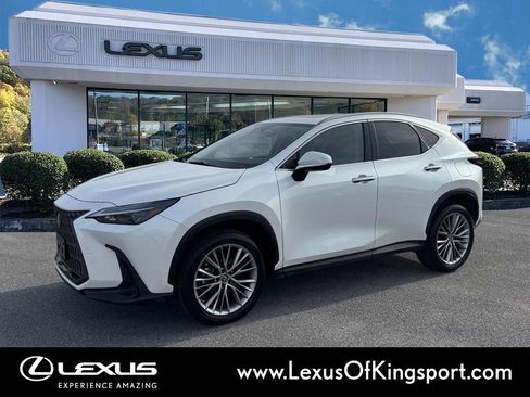 Used 2023 Lexus NX 350h AWD image 2