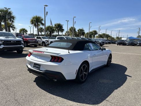 Used 2024 Ford Mustang Premium image 16