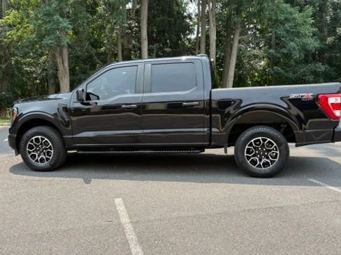 Certified 2023 Ford F150 XL w/ STX Appearance Package AWD/4WD image 3
