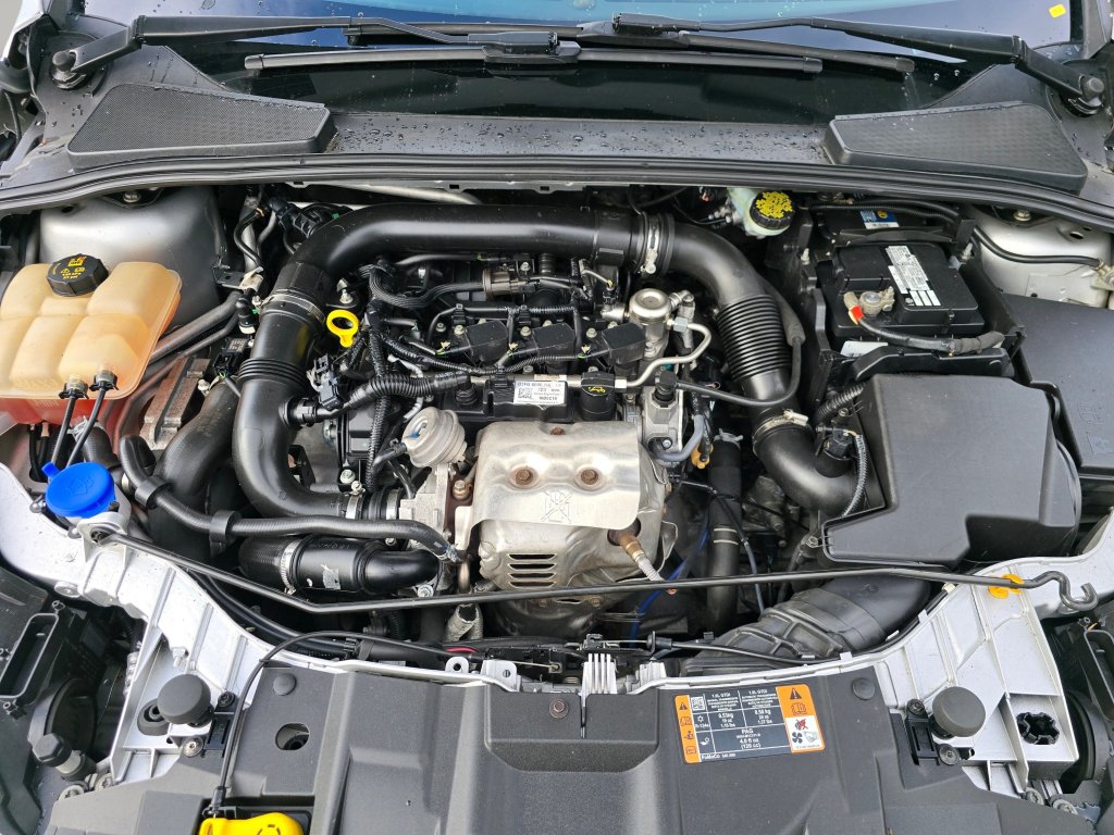 Used 2016 Ford Focus SE w/ SE Cold Weather Package FWD image 11