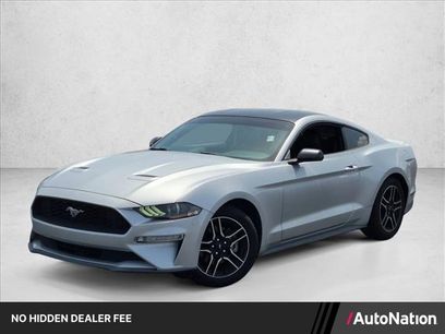Used 2019 Ford Mustang Premium