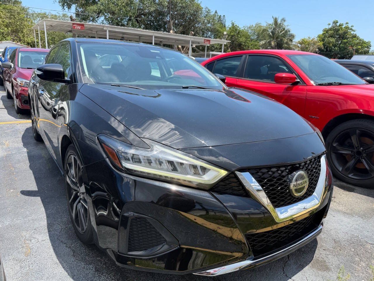 Used 2020 Nissan Maxima 3.5 SL w/ Floor Mat Group FWD image 5