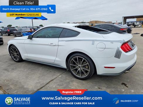 Used 2019 Ford Mustang Coupe w/ Wheel & Stripe Package RWD image 3
