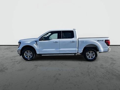 Used 2025 Ford F150 XLT w/ Equipment Group 301A Standard image 5