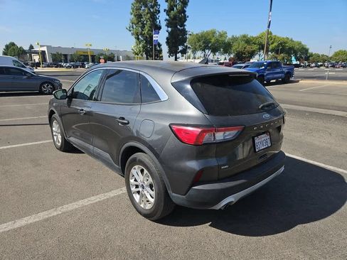 Used 2020 Ford Escape SE AWD/4WD image 5