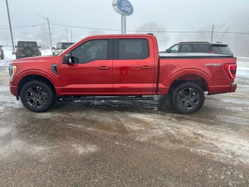 Used 2023 Ford F150 XLT w/ Equipment Group 302A High image 4