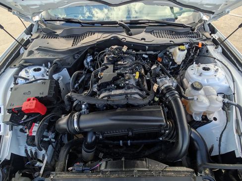 Used 2025 Ford Mustang Coupe w/ Mustang Nite Pony Package image 32