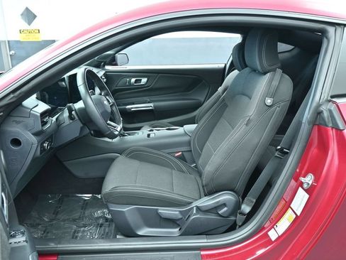 Used 2025 Ford Mustang Coupe w/ Mustang Nite Pony Package RWD image 11