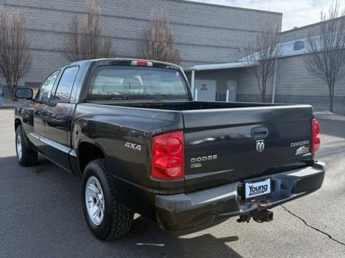 Used 2009 Dodge Dakota Big Horn w/ Extra Security Group image 4