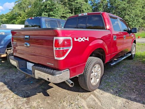 Used 2014 Ford F150 XLT w/ Equipment Group 302A Luxury AWD/4WD image 4