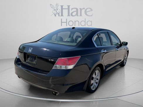 Used 2008 Honda Accord EX-L image 5