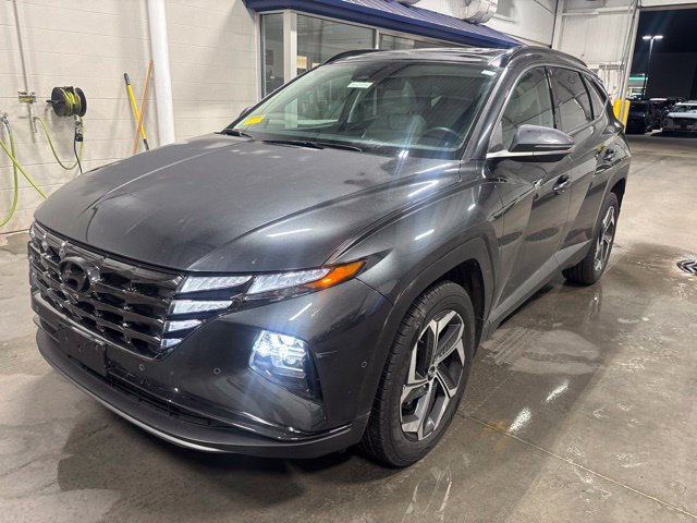 Used 2023 Hyundai Tucson Limited AWD/4WD image 3