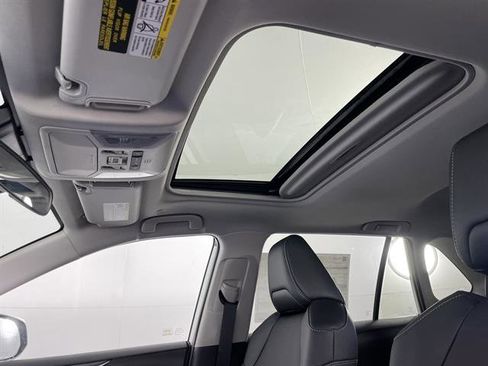 New 2025 Toyota RAV4 XLE Premium image 14