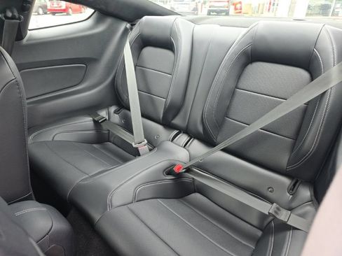Used 2019 Ford Mustang Premium w/ Equipment Group 201A RWD image 12