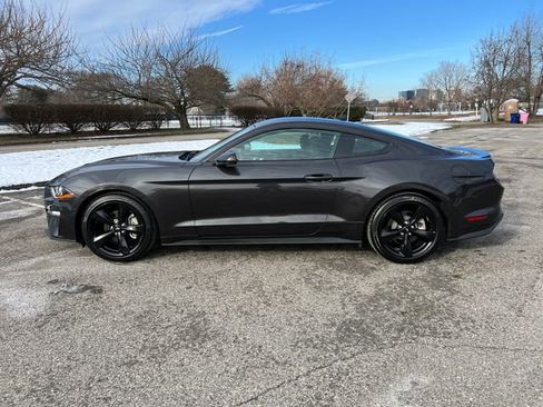 Used 2022 Ford Mustang Coupe w/ Equipment Group 101A image 6