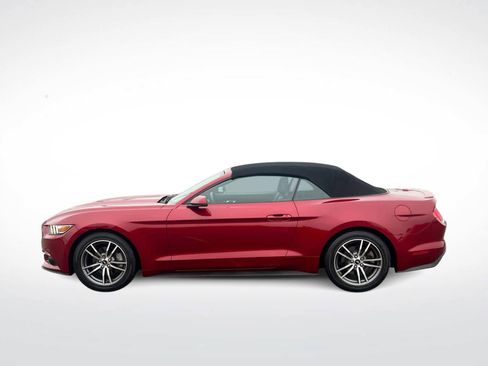 Used 2017 Ford Mustang Premium image 5