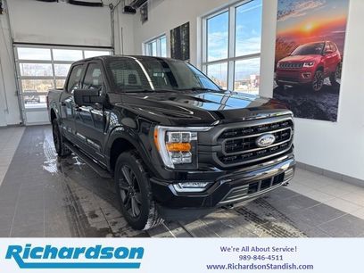 Used 2023 Ford F150 XLT w/ Equipment Group 302A High
