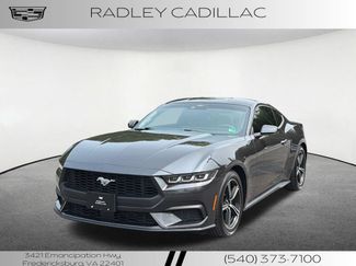 Used 2024 Ford Mustang Premium RWD 360° Tour