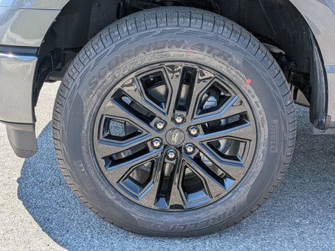 Used 2026 Ford F150 XLT w/ Equipment Group 303A High AWD/4WD image 6