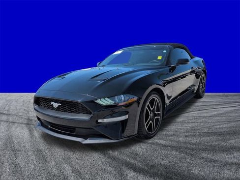 Certified 2019 Ford Mustang Premium RWD image 8