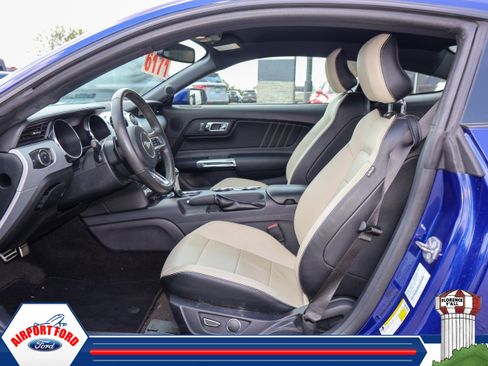 Used 2015 Ford Mustang Premium w/ Equipment Group 201A RWD image 4