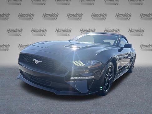 Used 2019 Ford Mustang Premium RWD image 5