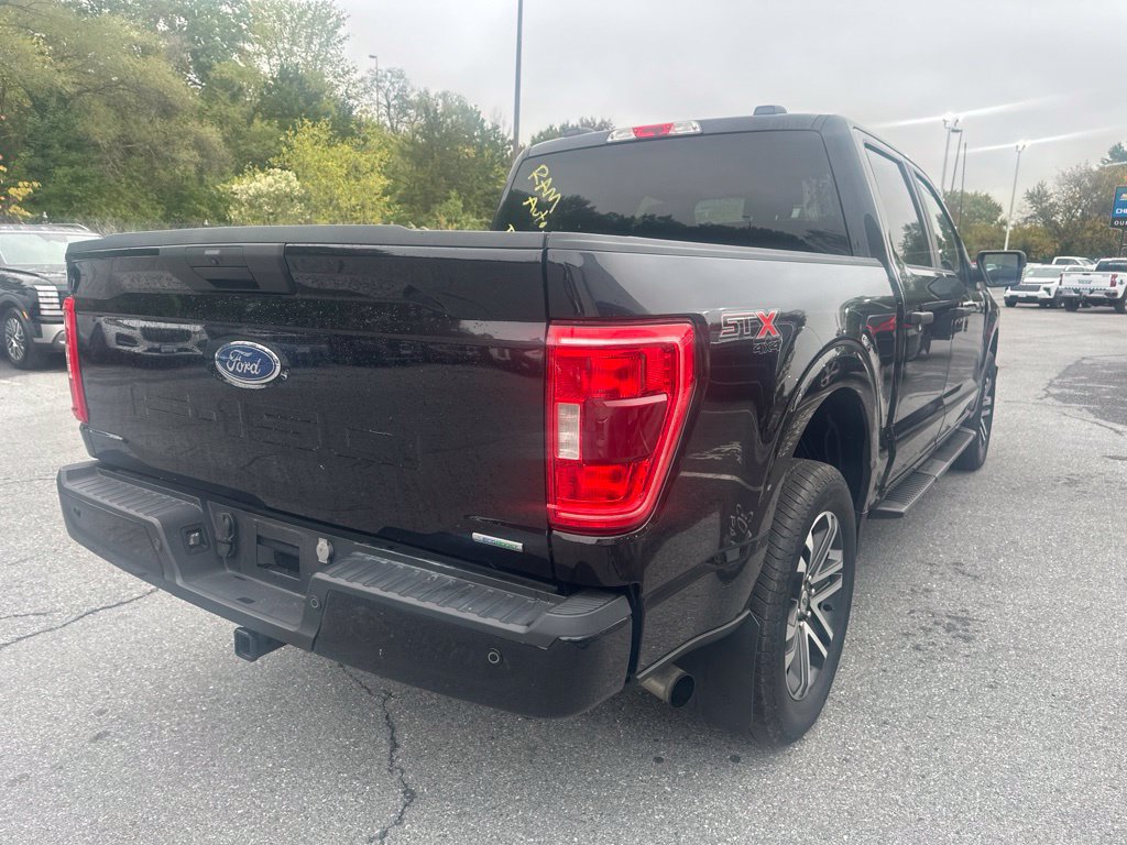 Used 2023 Ford F150 XL w/ STX Appearance Package AWD/4WD image 5