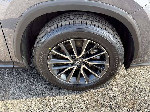 Used 2024 Lexus NX 350h AWD w/ Cold Area Package image 7