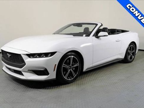Used 2024 Ford Mustang Premium RWD image 2
