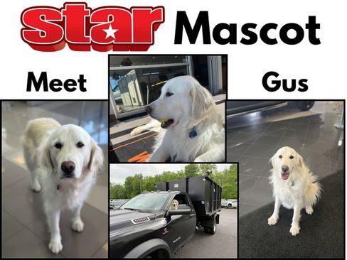 Used 2024 GMC Sierra 1500 SLT w/ SLT Premium Plus Package image 9