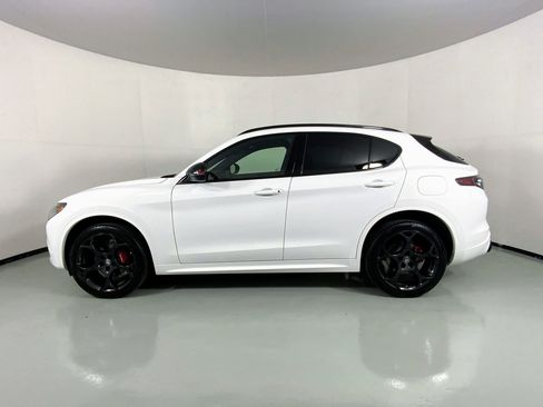 New 2025 Alfa Romeo Stelvio Tributo Italiano w/ Active Assist Plus Package image 11