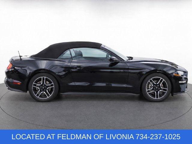 Used 2022 Ford Mustang Premium RWD image 8