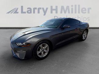 Used 2021 Ford Mustang Coupe RWD video 1