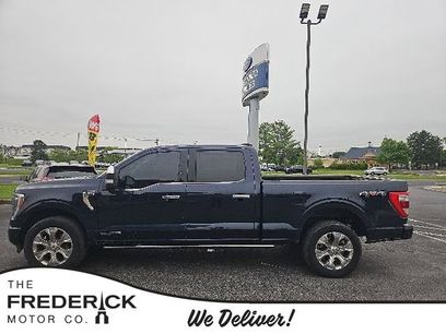 Used 2023 Ford F150 Platinum w/ Equipment Group 701A High