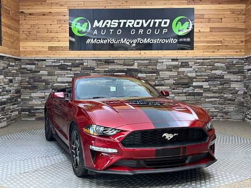 Used 2019 Ford Mustang Convertible w/ Equipment Group 101A RWD image 27