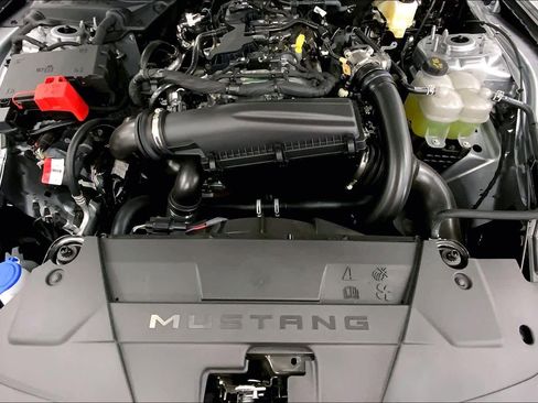 New 2025 Ford Mustang EcoBoostﾮ Fastback image 16