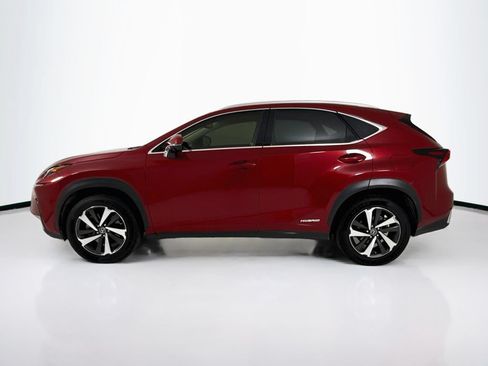 Used 2020 Lexus NX 300h AWD w/ Premium Package image 2