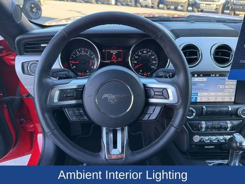 Used 2017 Ford Mustang Premium w/ Equipment Group 201A image 19